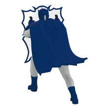 Load image into Gallery viewer, Hallmark Batman™ The Classic TV Series Behind the Bat-Shield™ 2025 Ornament