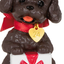 Load image into Gallery viewer, Hallmark Puppy Love Poodle 2024 Ornament