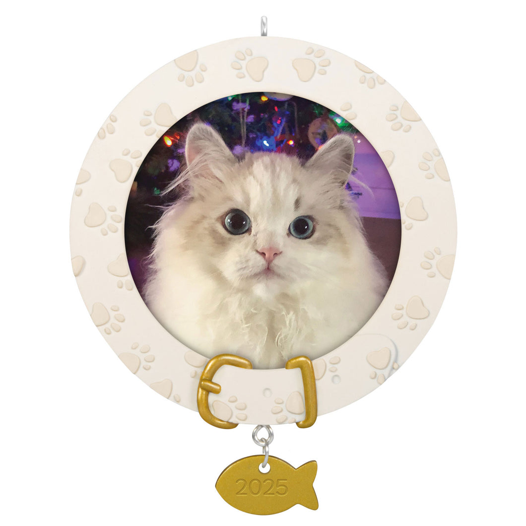 Hallmark Furry Friend 2025 Photo Frame Ornament