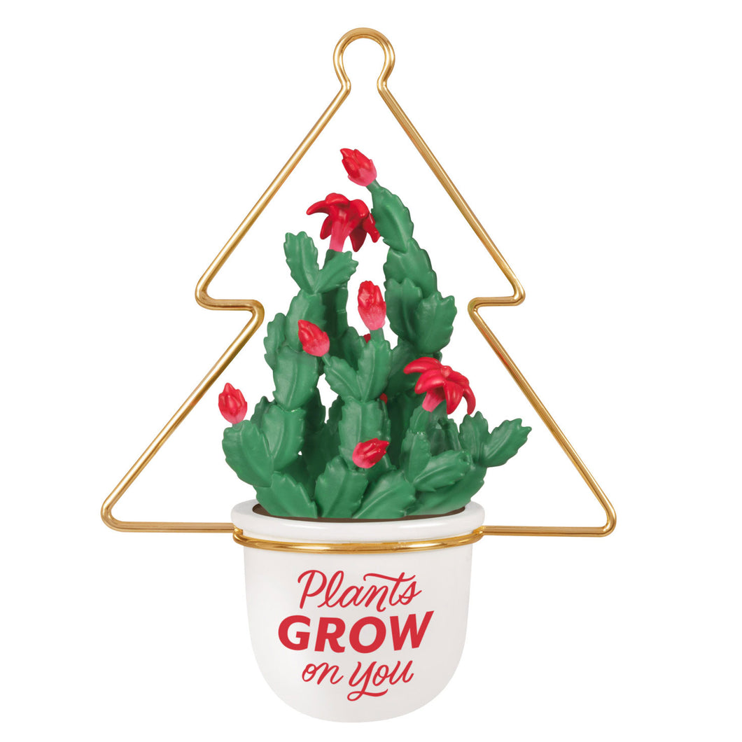 Hallmark Plants Grow on You 2025 Ornament