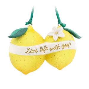 Hallmark Live Life With Zest! Porcelain Ornament