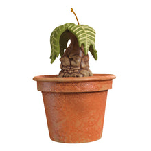 Load image into Gallery viewer, Hallmark Harry Potter™ Mandrake™ 2025 Ornament With Sound *coming in Oct
