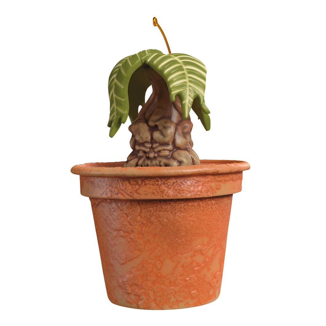 Hallmark Harry Potter™ Mandrake™ 2025 Ornament With Sound *coming in Oct