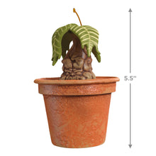 Load image into Gallery viewer, Hallmark Harry Potter™ Mandrake™ 2025 Ornament With Sound *coming in Oct
