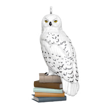 Load image into Gallery viewer, Hallmark Mini Harry Potter™ Hedwig™ 2025 Ornament, 1&quot; *coming in Oct
