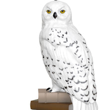 Load image into Gallery viewer, Hallmark Mini Harry Potter™ Hedwig™ 2025 Ornament, 1&quot; *coming in Oct
