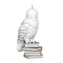 Load image into Gallery viewer, Hallmark Mini Harry Potter™ Hedwig™ 2025 Ornament, 1&quot; *coming in Oct
